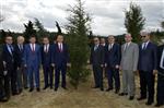 DENIZLI EMNIYET MÜDÜRÜ - Denizli’de Şehit Savcı İçin Fidan Dikildi