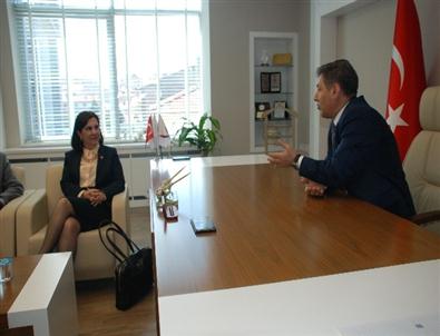 Chp Adayları Baro'yu Ziyaret Etti