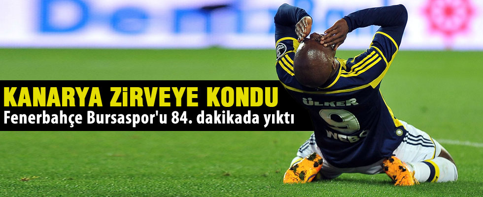 Fenerbahçe 1 - 0 Bursaspor