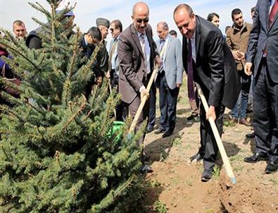 Gölbaşı'nda Hedef 15 Bin Fidan