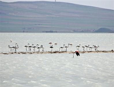 Seyfe'de Renkli Görüntüler
