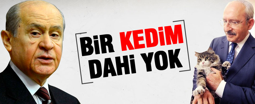Devlet Bahçeli: Bir kedim dahi yok