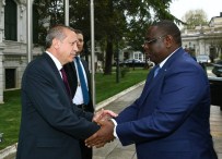 Erdoğan, Senegal Cumhurbaşkanı Macky Sall İle Bir Araya Geldi