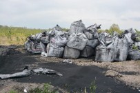 ÇIÇEKPıNAR - Meyve Bahçesinde ’kimyasal Atık’ Şüphesi