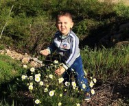 Trafik Canavarı Baba İle Oğlunu Ayırdı