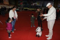 ÇOCUK FUARI - Çocuklar Kukla Köpeği Çok Sevdi