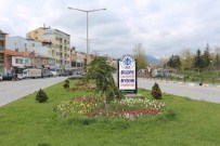 LALE SOĞANI - Beyşehir’de 60 Bin Lale Soğanı Dikildi