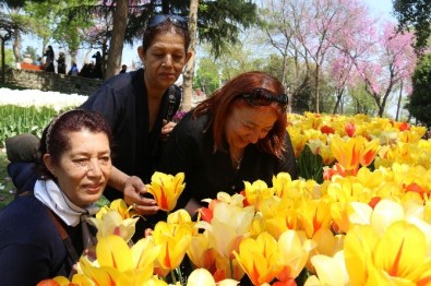 Emırgan Korusuna Lale Akını