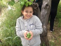 Erik Üreticinin Yüzünü Güldürüyor