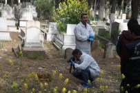 İNSAN KEMİKLERİ - Gaziantep’te İşçiler İnsan Kemiği Buldu