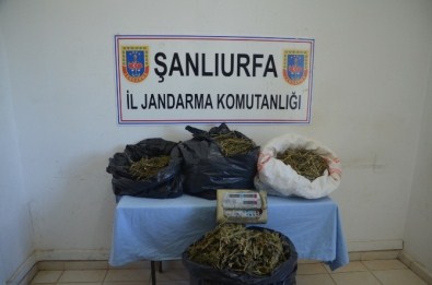 Jandarmadan Uyuşturucu ve Petrol Kaçakçılarına Operasyon