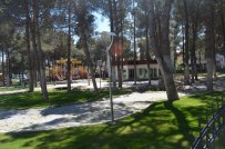 AYDIN YILMAZ - Çay Bahçesine Rekor Kira