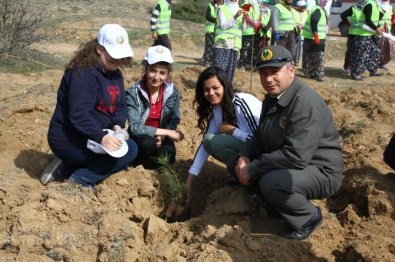 Alpu'daki Kutlu Doğum Ormanına 1444 Fidan Dikildi