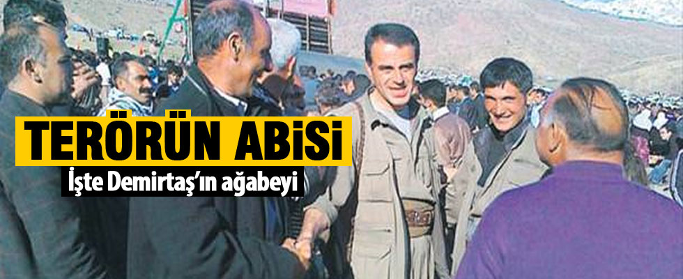 Demirtaş'ın abisi terörist çıktı