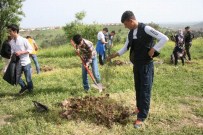 DİYARBAKIR EMNİYET MÜDÜRÜ - Diyarbakır Emniyet Müdürlüğü'nden Fidan Dikim Etkinliği