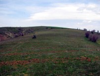 Giresun'da Yaban Hayvanlarının Doğal Yaşamları Destekleniyor