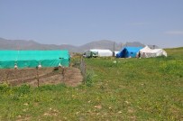 CUDI DAĞı - Cudi, Gabar Ve Kato Dağları Göçerlerin Mekanı Oldu