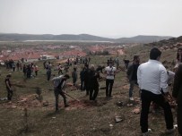 Sandıklı'da 5 Bin Fidan Toprakla Buluştu