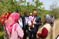 KAŞÜSTÜ - Yomra Belediyesi Asfaltlama Sezonunu Açtı