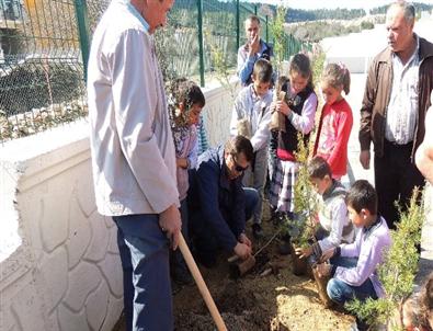 Öğrenciler Okul Bahçesinde 250 Fidanı Toprakla Buluşturdu