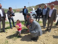 MİLLETVEKİLLİĞİ SEÇİMLERİ - AK Parti Konya'da Seçim Çalışmalarını Sürdürüyor