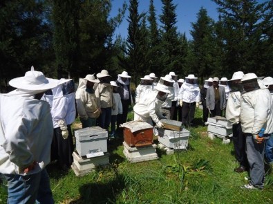 Arıcılar Uygulamalı Eğitim Sonunda Sertifikalarını Aldı