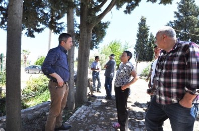 Bodrumlu Vatandaşlar Ağaçların Kesilmesini İstemiyor