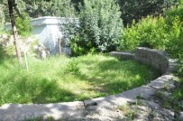 KARACAOĞLAN - Ermenilerin İstediği Manastır Mezarlığa Duvar, Okula Taş Oldu