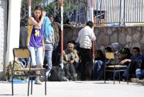 BADEMLI - Kamyonda 43 Kaçak Yakalandı