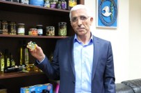 THY - Marmarabirlik Türk Hava Yolları İle Dünyaya Uçuyor