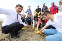 Sorgun MYO'da Fidanlar Toprakla Buluşturuldu