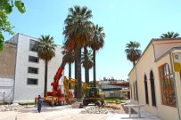 Yetmiş Yıllık Palmiyelere Yeni Yaşam Alanı