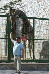 Zürafa 'Şakir'e Özel Bakım