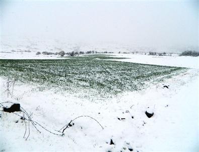 Posof’ta Kar Yağışı