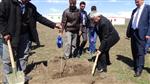 Kars’ta 3 Bin Ceviz Fidanı Toprakla Buluştu