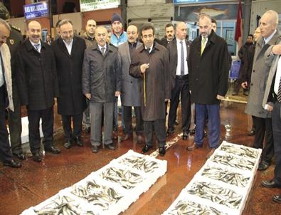 Kocaeli Valisi, Ereğli’de Balık Mezatına Katıldı