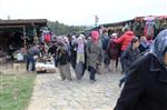 YAHYA ÇAVUŞ - Yenipazar'dan Çanakkale'ye Çıkartma