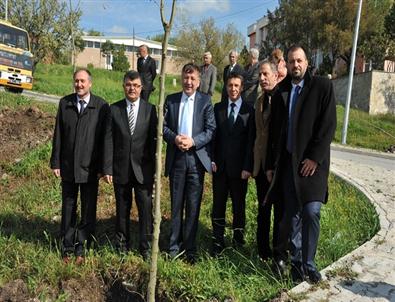 Cbü Muradiye Yeşillendi