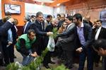 TARIM VE HAYVANCILIK FUARI - Hedef, 5 Yılda 1 Milyon Fidan