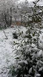 Taraklı’da Kar Kalınlığı 10 Santimetreyi Buldu