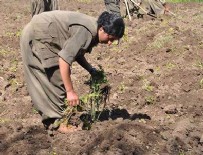 Çözüm süreci PKK'ya yaradı