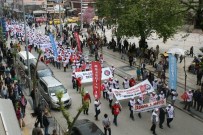 TERTIP KOMITESI - Düzce 1 Mayıs Coşku İle Kutlandı