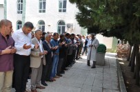 BELEDİYE MEZARLIĞI - Adıyaman'daki Trafik Kazası