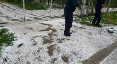 Elmalı'yı Önce Don, Şimdi De Dolu Vurdu