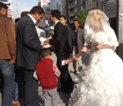 Gelin-Damatlı Tanıtım