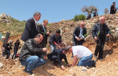 Konyalı Yazarlar Sarıveliler'de Fidan Dikti