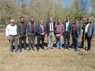 Kuluncak'ta Chia Tohumunun Ekimi Gerçekleştirildi