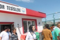 Meslek Aşkı
