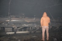 Sakarya'da Çıkan Yangında 4 Büyükbaş Hayvan Telef Oldu