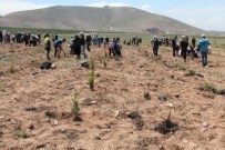 Şehit Savcı Kiraz İçin Hatıra Ormanı Oluşturuldu